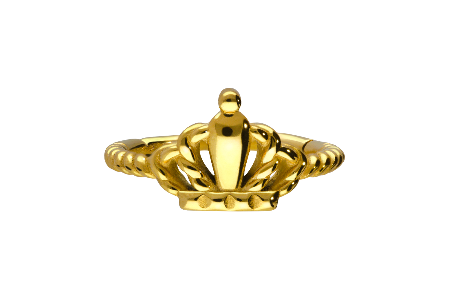 Chirurgenstahl Segmentring Clicker Piercing KRONE + GEDREHT ++SALE++